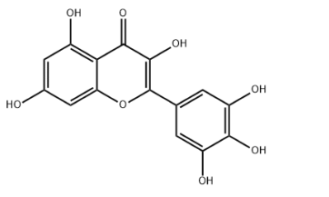 Myricetin #CAS529-44-2