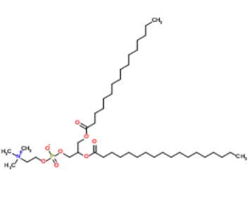 Lecithin Hydrogenated #CAS92128-87-5