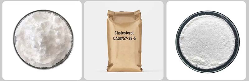 Kolesterol CAS:57-88-5 Kolesterol CAS:57-88-5