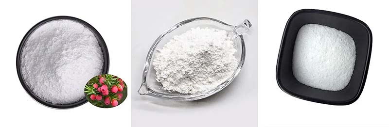 Paclitaxel CAS: 33069-62-4 Paclitaxel CAS: 33069-62-4